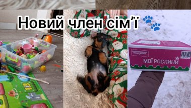 День без світла, але з новим світлом у серці | Ми взяли таксу 🐾