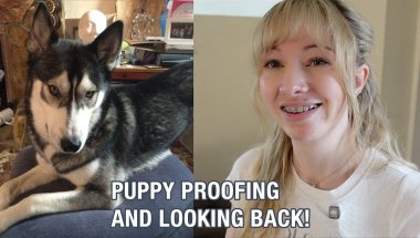 Puppy Proofing & Looking Back At What’s Changed!