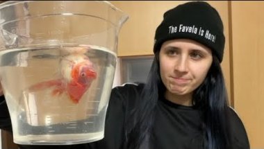 MEUS PEIXES FOI DE ARRASTA 😭