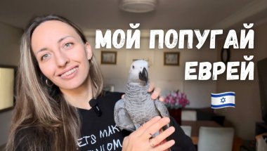 Жизнь с Жако в Израиле: он говорит на иврите!