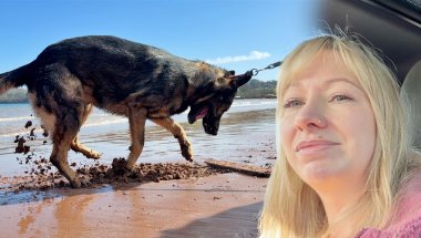 Crazy Pup At The Beach! I’ve Missed This Excitement! So Funny To Watch!