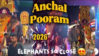 Anchal Pooram Elephant Procession 🐘🔥 | First Time Seeing Elephants Up Close 😍 | Kerala Festival Vlog