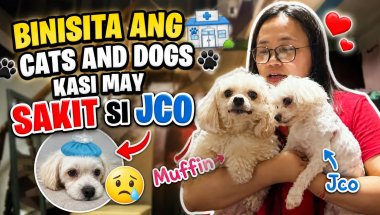 BINISITA KO ANG MGA CATS AND DOGS KASI MAY SAKIT SI JCO! GET WELL SOON JCO!
