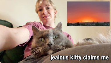 Jealous kitty claims me! Veg update, Car Still funky! Best Sunset I’ve Ever Seen!