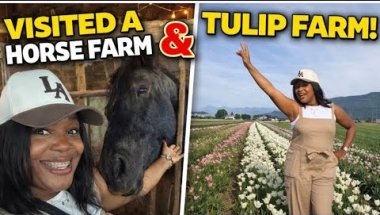 A Perfect Spring Day 🌷🐴 | Tulip Farm + Horse Farm Vlog