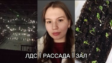 ЛЕДОВОЕ ШОУ В НОВОСИБИРСКЕ 2026 ЛДС / РАССАДА / ВИДЕО С ПОДРУГОЙ